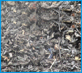 Shredded-scrap-pic3